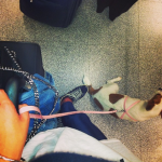 cecilia rodriguez aeroporto