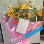 eros manda girasoli a michelle