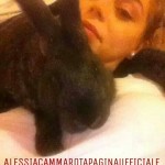 Alessiaconilconiglio