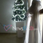 albero bea